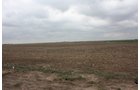 Property photo 15 - LAND AUCTION, 3255+/- Acres offered in 13 Tracts